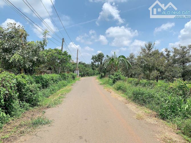 Cần bán vườn trái cây 5681 m2 view suối tuyệt đẹp, mặt tiền nhựa xe hơi đến 56m, phủ hồng - 4