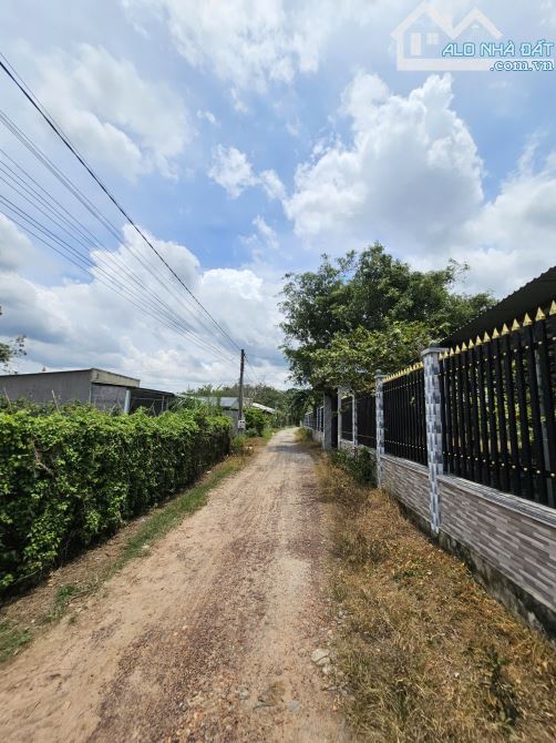 BÁN ĐẤT 1 SẸT ĐƯỜNG AN BÌNH, 8x28. 224m2 – GẦN KCN, TRUNG TÂM TRẢNG BÀNG - 4