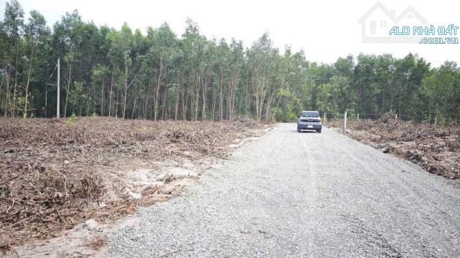 Bán 1033m2 đất ODT Tân Phước - TX LaGi giá ngộp 950 triệu sổ riêng - 4