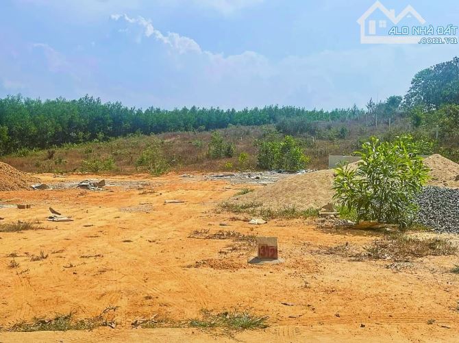Bán đất Khánh Đông có thổ cư giá rẻ đường thông gần Tỉnh Lộ 8 - 4