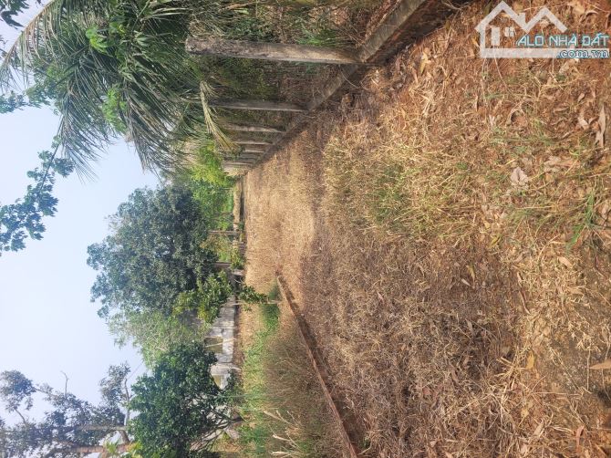 Cần bán 3059m2 sẵn 200tc gần khu công nghiệp sonadezi ngay trung tâm xã SUỐI NGHỆ. - 4