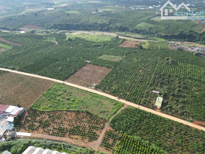 Cần bán 20 nền F0 xã Tân Hội Lâm đồng giá rẻ - 4