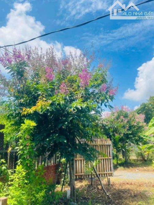 Bán gấp nền thổ nhà vườn Vĩnh Thanh Nhơn Trạch giá rẻ 4,6TY/1850M. SR chính chủ, đường 6m - 4