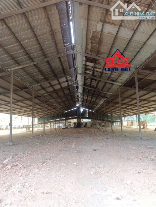 Cho Thuê kho Xưởng tổng diện tích  1ha thuộc xã  An Viễn Trảng Bom Đồng Nai - 4