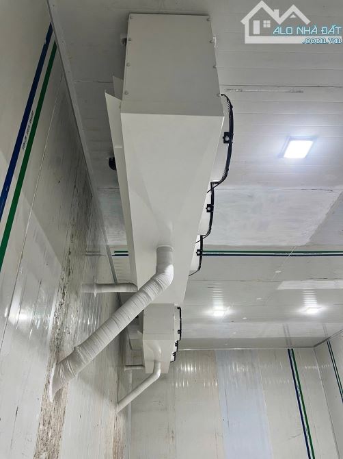 XT475 Cho thuê kho lạnh kèm nhà xưởng Gần Trạm thu phí Thiện Tân - 5