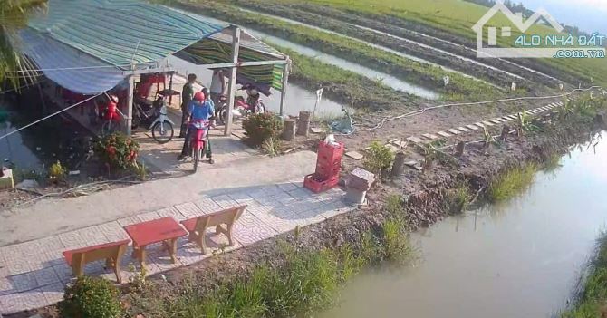CHÍNH CHỦ bán 12.330m2 đất đẹp mở khu sinh thái - 5