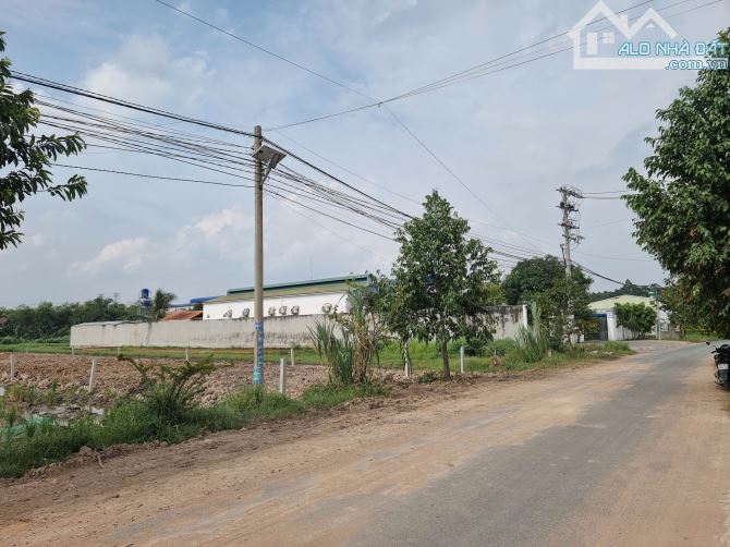 10x69 giá 6.8 tỷ đường nhựa Chùa Tháp. Cách tỉnh lộ 823D tầm 800m - 5
