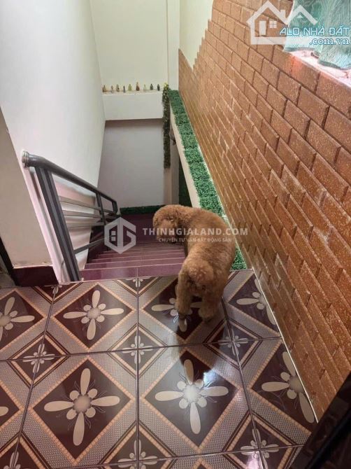 CHO THUÊ NHÀ 1 TRỆT 1 LẦU_PHAN CHU TRINH_VŨNG TÀU_GẦN BIỂN BÃI SAU_GIÁ CHỈ 10TR/THÁNG - 5