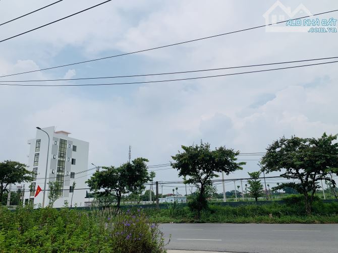 Siêu Phẩm. Bán 111m đất mặt ngoài khu đấu giá X1 Lục Xuân, Phúc Lộc, Hà Nội - 5