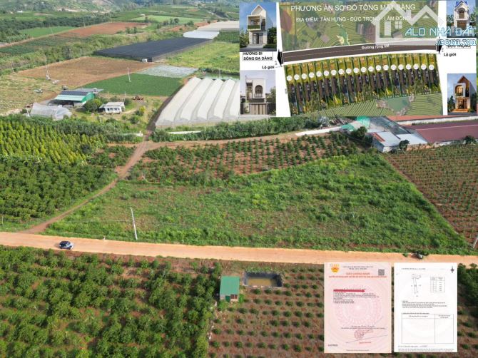 Cần bán 20 nền F0 xã Tân Hội Lâm đồng giá rẻ - 5