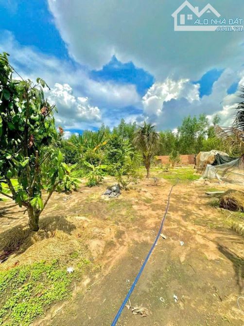 Cần bán khu vườn nghĩ dưỡng 💵💵 giá: 3.TỶ.2  DT: 1.127m2 (hơn 1.Xào) sổ hồng - 5