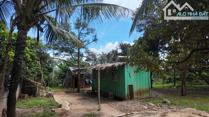 VƯỜN CÂY ĂN TRÁI VIEW SUỐI CỰC ĐẸP, SẴN THỔ CƯ, GẦN CAO TỐC, GIÁ BÁN NHANH SIÊU TỐT - 5