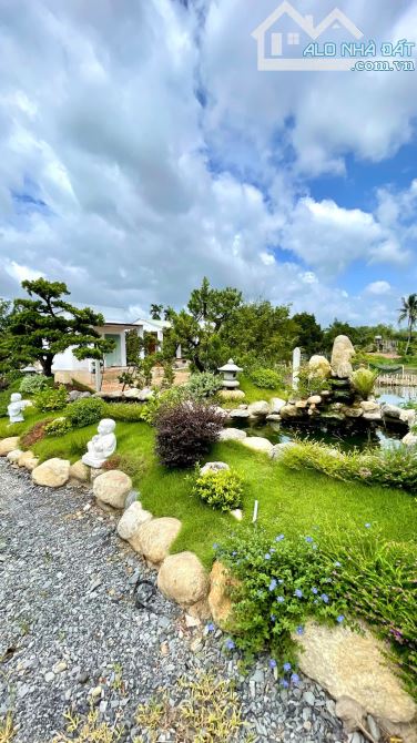 Cần bán đất + khuôn viên nhà vườn ở nghĩ dưỡng mặt tiền Nguyễn Văn Khạ 2000m2 QHDC - 6