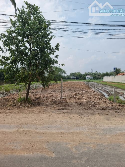 10x69 giá 6.8 tỷ đường nhựa Chùa Tháp. Cách tỉnh lộ 823D tầm 800m - 6