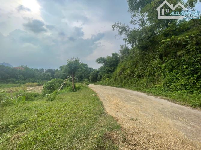 Bán 2.35ha đất hỗn hợp thổ cư đất vườn bám suối View cánh đồng tại Lương Sơn, Hòa Bình - 6