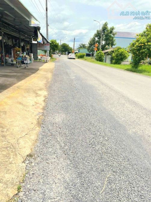 Hàng Thơm, 250m2 đất thổ đường xe buýt Tân Trụ, chỉ 1.5 tỷ - 6
