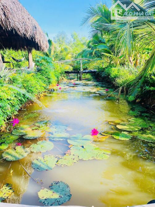 Bán gấp nền thổ nhà vườn Vĩnh Thanh Nhơn Trạch giá rẻ 4,6TY/1850M. SR chính chủ, đường 6m - 6