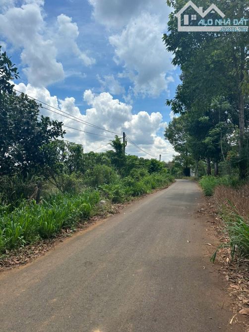 VƯỜN CÂY ĂN TRÁI VIEW SUỐI CỰC ĐẸP, SẴN THỔ CƯ, GẦN CAO TỐC, GIÁ BÁN NHANH SIÊU TỐT - 6
