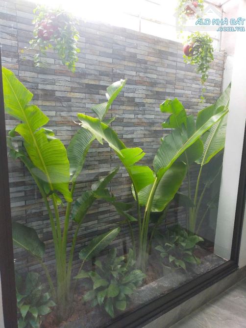 Bán nhà ngõ phố Phan Chu Trinh, Tây Hải Phòng, 50m2, 3 tầng, 3 ngủ, mặt tiền 4m, chỉ 2.17 - 6