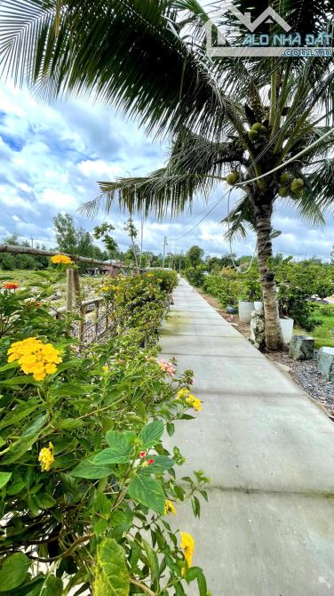 Cần bán đất + khuôn viên nhà vườn ở nghĩ dưỡng mặt tiền Nguyễn Văn Khạ 2000m2 QHDC - 7