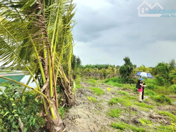 Siêu phẩm, 703m2 đất vườn view sông cực đẹp chỉ 700tr - 7
