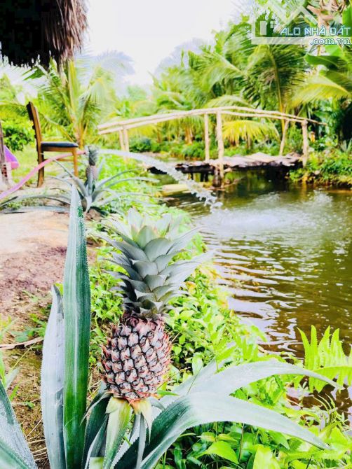 Bán gấp nền thổ nhà vườn Vĩnh Thanh Nhơn Trạch giá rẻ 4,6TY/1850M. SR chính chủ, đường 6m - 7