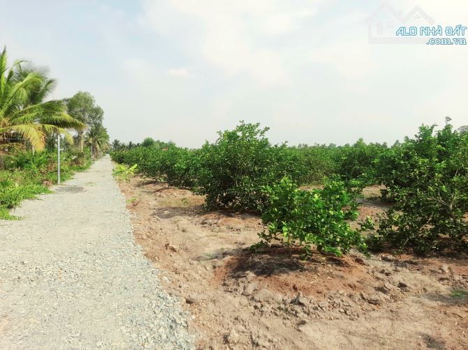 Chỉ 600tr sở hữu 1000m2 đất vườn View Kênh cực đẹp - 8