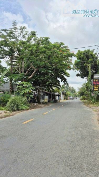 Biệt thự nhà vườn cần tìm chủ mới ở ngay Tân Thông Hội, Củ Chi, 326m2 mà chỉ có 850 củ - 9