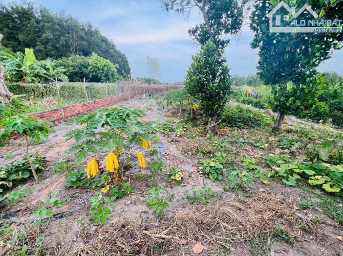 Bán gấp nền thổ nhà vườn Vĩnh Thanh Nhơn Trạch giá rẻ 4,6TY/1850M. SR chính chủ, đường 6m - 9