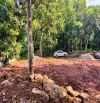 Tổng diện tích: 1000m²400m² đất ở (thổ cư) Xã Vĩnh Tiến, huyện Kim Bôi, tỉnh Phú Thọ