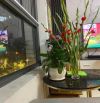 Bán gấp  hộ Bcons Dĩ An 2pn2wc full nội thất view công viên, hồ bơi nội khu