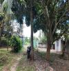 VƯỜN CÂY ĂN TRÁI VIEW SUỐI CỰC ĐẸP, SẴN THỔ CƯ, GẦN CAO TỐC, GIÁ BÁN NHANH SIÊU TỐT