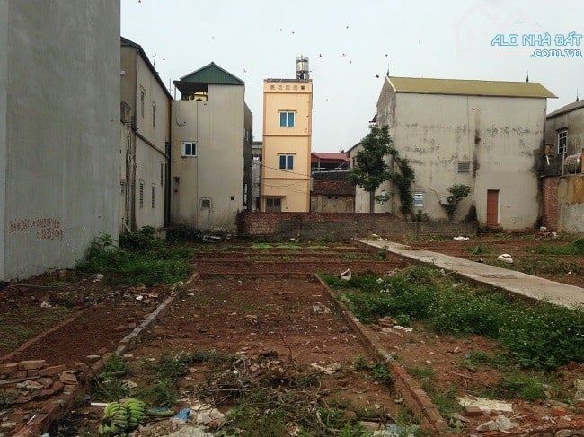 Cần giải quyết việc gia đình bán gấp đất 24 tỷ, 193m2 mặt tiền 9.88m, có sổ - 1