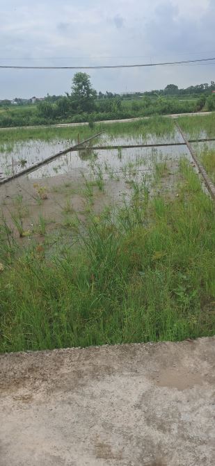 BÁN 42.5m2 ĐẤT TRẠM LỘ - THUẬN THÀNH ,ĐƯỜNG Ô TÔ TRÁNH,THÔNG,GIÁ CHỈ 1.4 TỶ