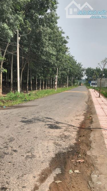 Bán mặt tiền nhựa liên ấp, gần ngã tư Gia Vĩnh, An Viễn, Đồng Nai