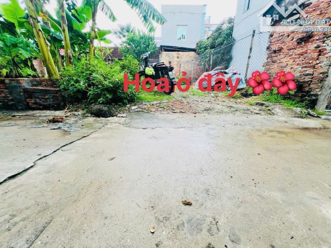 Thôn Lỗ Giao – Đông Anh 🌟 Lô góc đầu tiên, siêu đẹp – vuông vắn, tiềm năng sinh lời cao