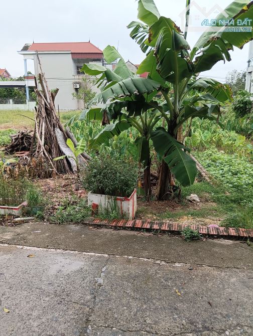 Bán Đất - Minh Trí( Sóc Sơn) - 104M2 Full Thổ Cư - 2Tỷ - Đường Thông Ô Tô Tránh