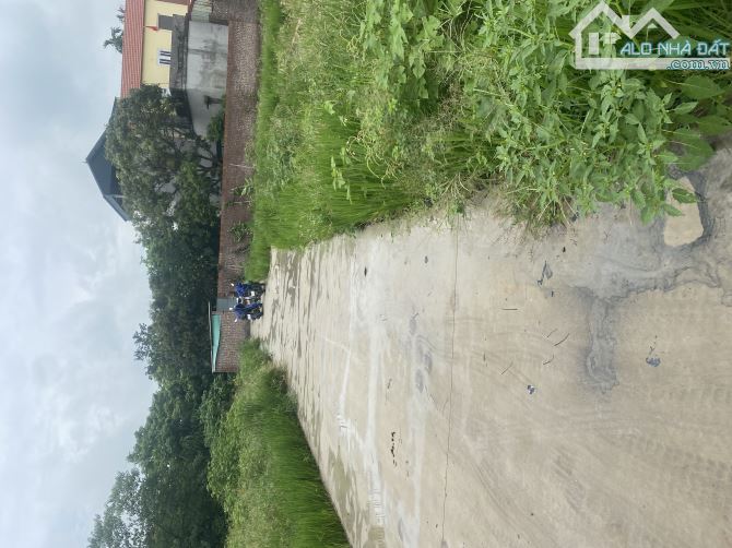 BÁN ĐẤT XÃ SONG LIỄU – THUẬN THÀNH, BẮC NINH  • Diện tích: 74.2m², mặt tiền 4.6m, nở hậu.