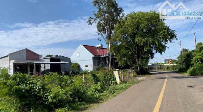 SỞ HỮU 1.000M2 FULL HỒNG NGAY TP.HCM – MẶT TIỀN NHỰA CHỈ 1 TỶ 520🔥