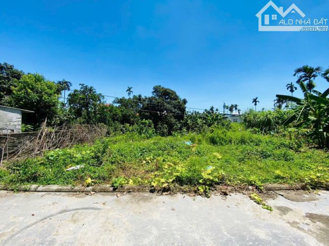 Bán đất Lâm Động- Thuỷ Nguyên ngay mặt 203 vào chút ô tô tận đất 60m giá chỉ 1,3x tỷ