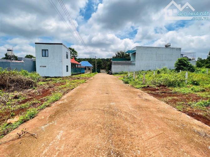 ❌Him lam -Ninh Hoa tỉnh lộ 8 hẻm cấp 1 rẻ đẹp nhất khu vực