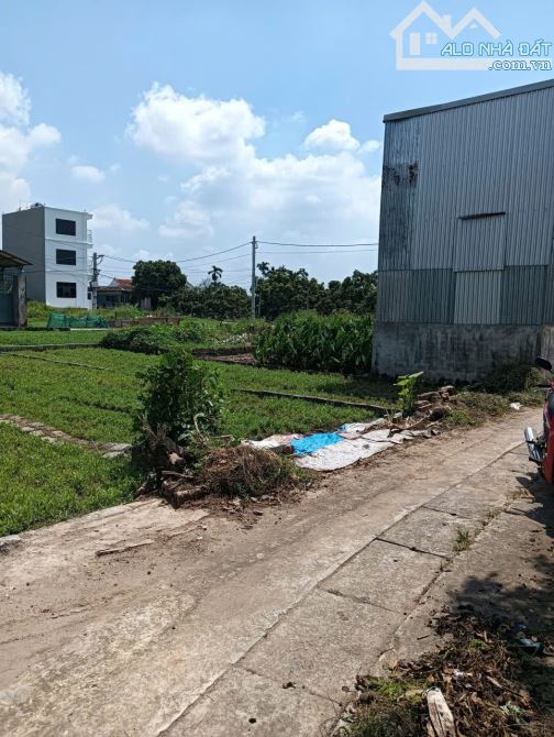 🎄 ĐẤT ĐẸP 👉ĐƯỜNG THÔNG 💲 Giá đầu tư  ✅ Đc: thư phú - thường Tín - HÀ NỘI  ** Diện tích: