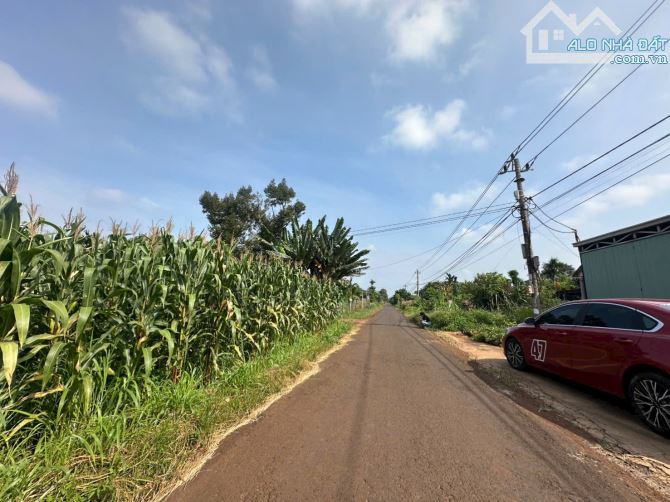 5,6 x 36m ĐẤT THỔ CƯ THÔN 3 CƯSUE GIÁ RẺ NHẤT KHU VỰC. CHỈ HƠN 300tr