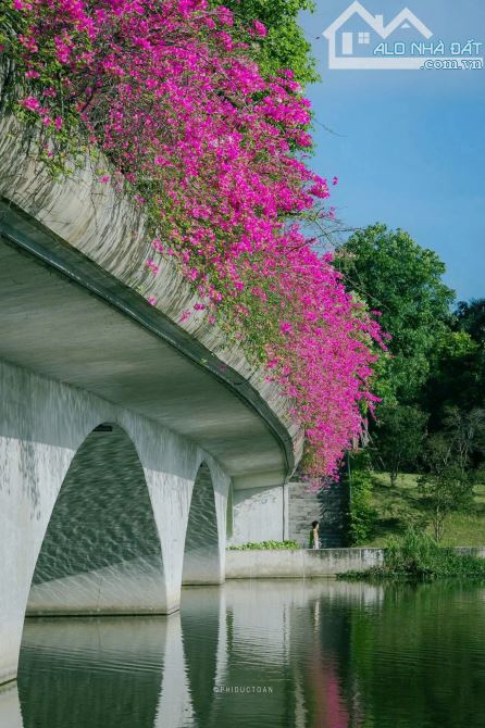 🌟 CC bán 149m Đất VĂN GIANG, 300m ra KĐT ECOPARK. MT đẹp 8.5m. Ô tô Tránh, chỉ hơn 5 tỷ