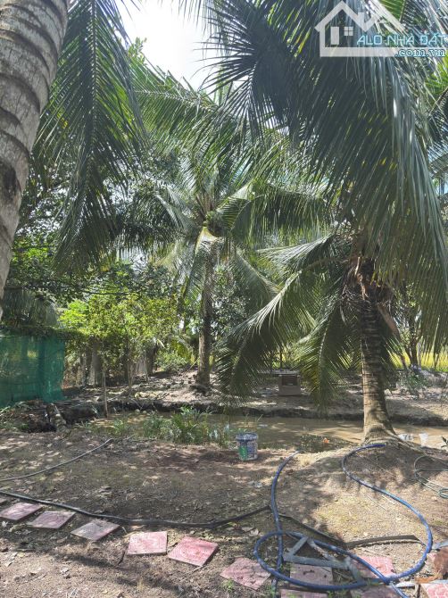 CHÍNH CHỦ CẦN BÁN LÔ ĐẤT TẠI PHƯỜNG LONG ĐỨC - TP. TRÀ VINH - TỈNH TRÀ VINH.