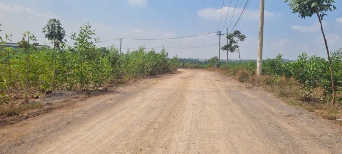 CẦN BÁN ĐẤT QH SKC KHU VỰC HỐ NAI 3 ( cũ) NAY LÀ PHƯỜNG HỐ NAI- ĐỒNG NAI GIÁ:2 triệu/1m2