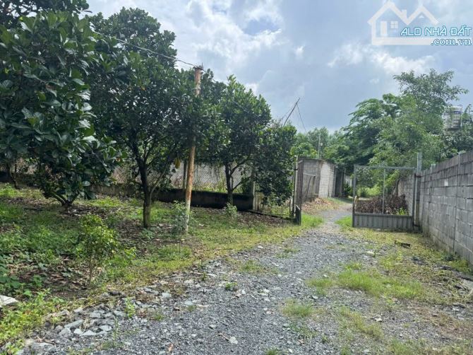 Vườn Mít Bình Lợi Vĩnh Cửu Diện tích : 2000m2 ( 27 x 75 )