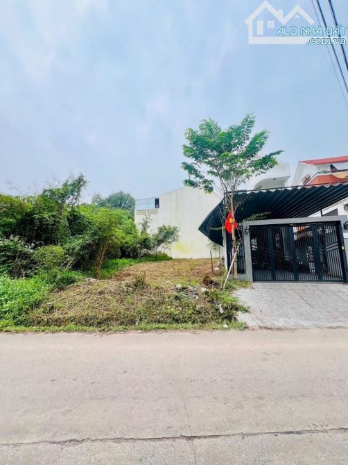🎯🎯ĐẤT MẶT TIỀN ĐƯỜNG HOÀI THANH, TP HUẾ