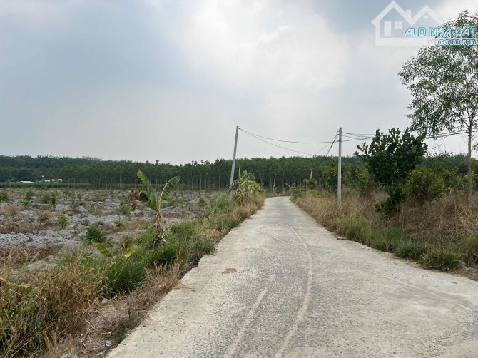 Bán gấp đất 10040m² tại Minh Long, giá 7.35 tỷ, thương lượng nhẹ - 1