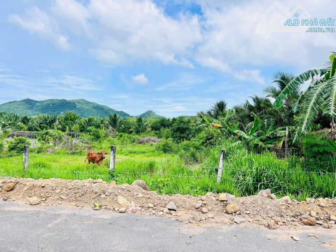 🌈🌈 TT PHƯỚC HẢI 20x50M CÁCH BIỂN 4KM  - LƯNG TỰA NÚI MINH ĐẠM  DT 1000m2 - 1